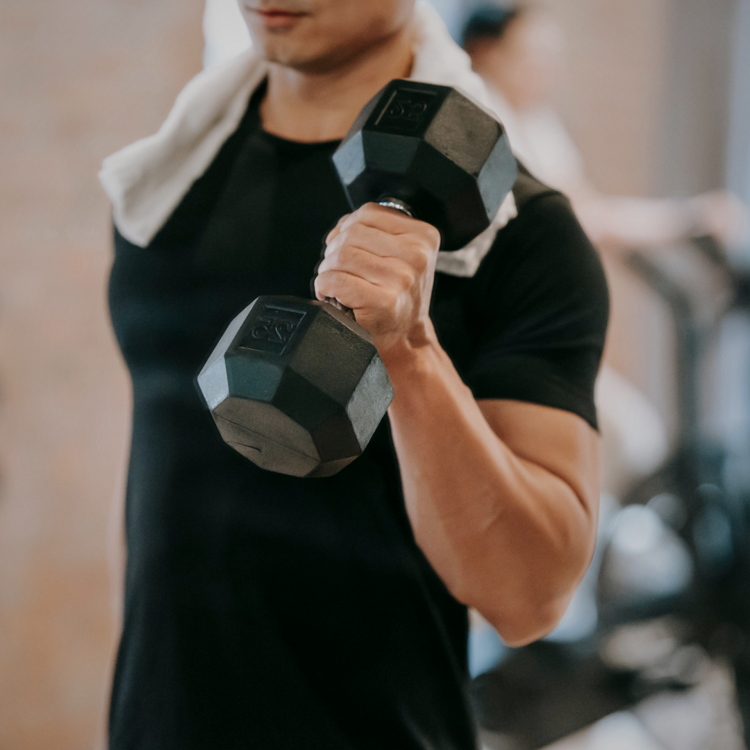 Fitness Equipment